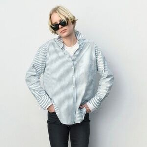 AYR The Deep End Striped Button Up Oxford Shirt Chives Green Loose Fit Academia